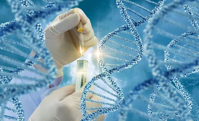 Genetic testing before and during pregnancy